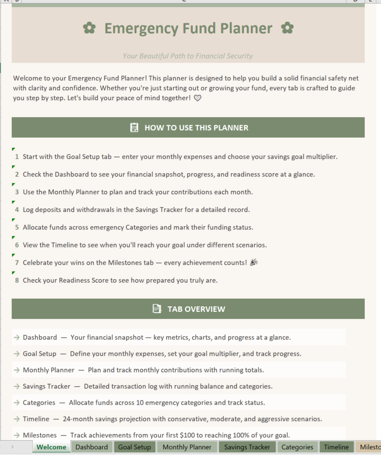Emergency Fund Planner Dashboard Overview