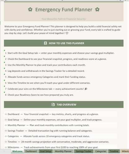 Emergency Fund Planner Dashboard Overview